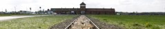 cropped-commemoration-de-l-holocauste1.jpg