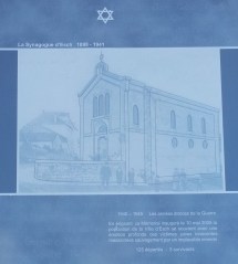 Agrandir l'image Syna Esch