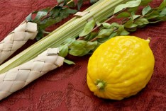 sukkot