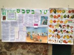 Hakeshet'toubishvat