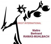 logo-ramas-muhlbach-droit-international
