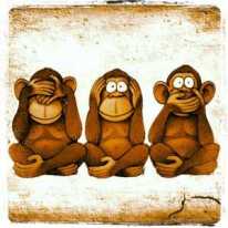 3 singes