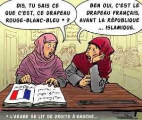 drapeau france islam