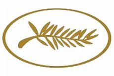 palme Cannes.jpg