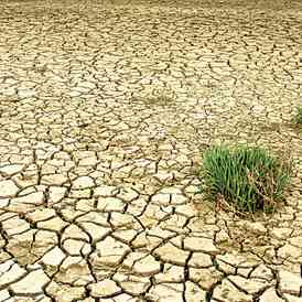 sécheresse.jpg