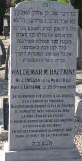 Tombe Waldemar Haffkine.jpg