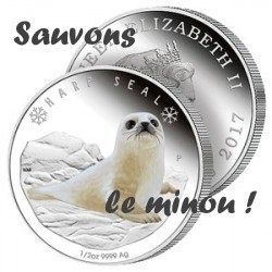 le-bebe-phoque minou